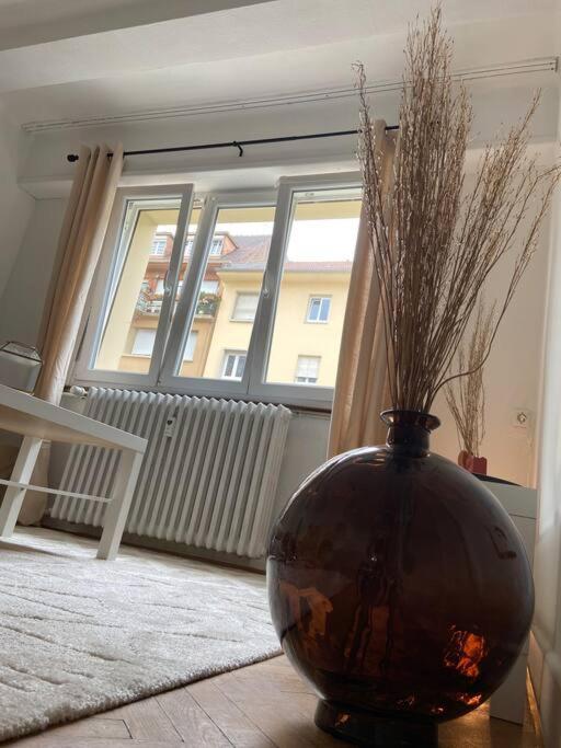 Апартаменты Charismatique Orangerie-10Min Parlement Eu-Wifi-Tv Страсбург Экстерьер фото