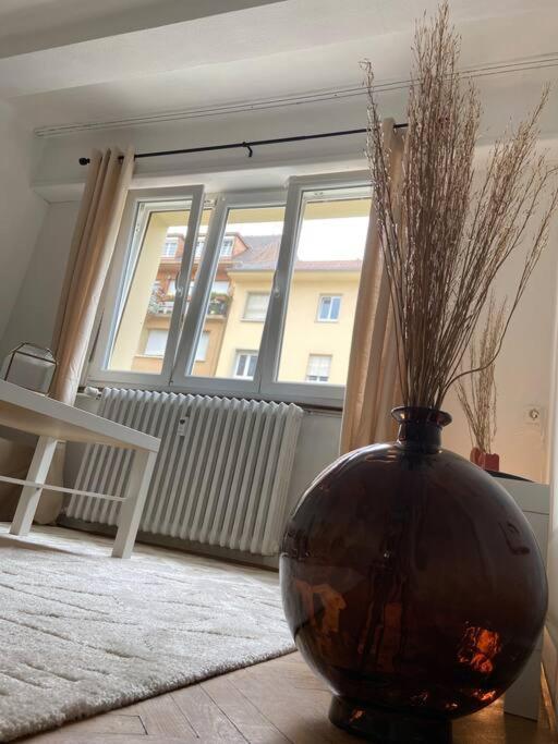 Апартаменты Charismatique Orangerie-10Min Parlement Eu-Wifi-Tv Страсбург Экстерьер фото